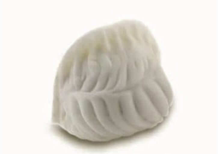 גיוזה פטריות מומלץ לארוחה מזינה וטעימה ביותר